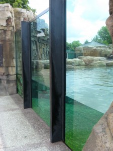 Aquarium Glass Design