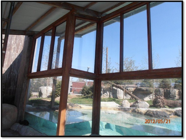 Zoo Enclosure Glass Design Engineering