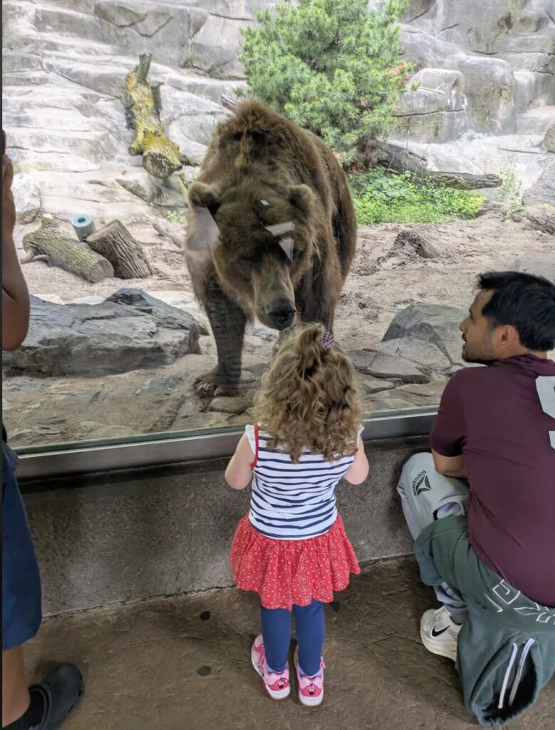 John Ball Zoo Meijer Grizzly Bear Exhibit by JEI Structural