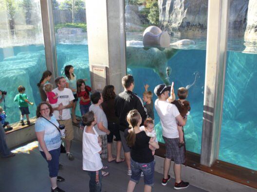 Zoo Enclosure<br>Glass Design
