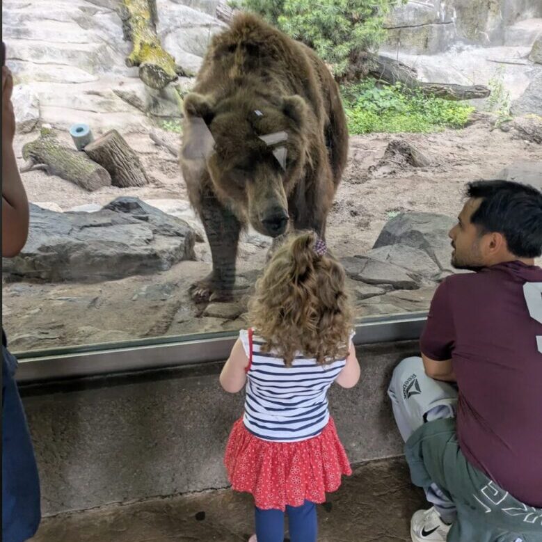 John Ball Zoo Meijer Grizzly Bear Exhibit by JEI Structural