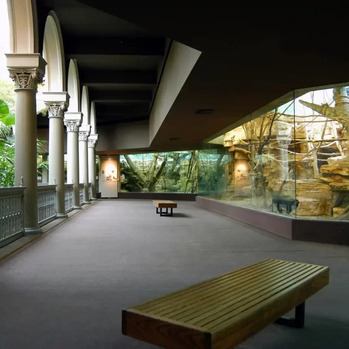 Primate Canopy Trails Zoo Enclosure Glass Design